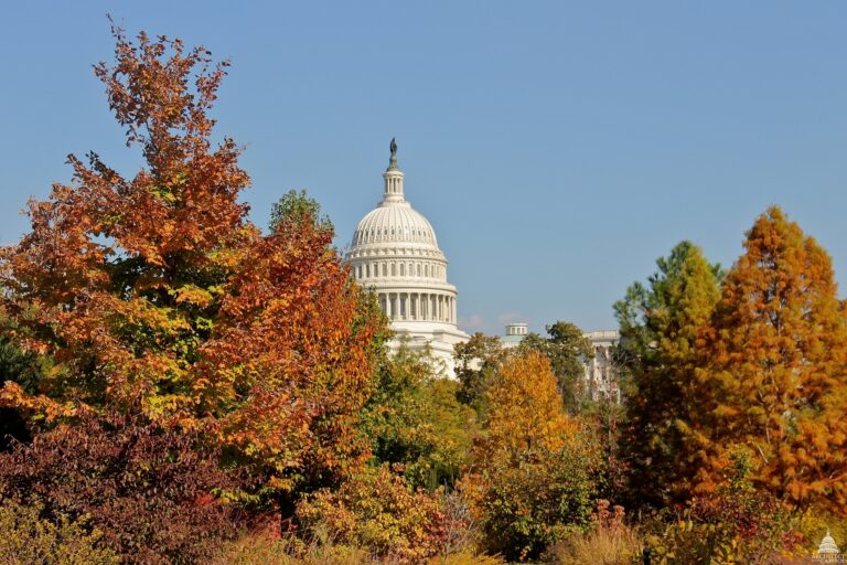National Preservation Partners Network – Connected for what's next in ...
